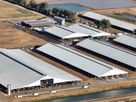 Drone Flyover - AFMH Coomboona (milking) - Located 30km northwest of Shepparton, Coomboona Farms is AFMH’s first Victorian dairy property. Coomboona was formerly owned by billionaire Gerry Harvey, before being bought by AFMH, which is a partnership between the Moxey and Perick families.
The property has the capacity to milk over 2500 cows, and produce 30 million litres of milk annually. Cows are housed in freestall barns and milked in a commercial rotary dairy. The dairy is split between two locations, with one acting as a breeding, maternity and nursing facility and the other housing milking cows. - Captured at AFMH Coomboona Farms - Module 1 (milking), Coomboona VIC Australia.