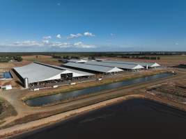 Drone Flyover - AFMH Coomboona (milking) - Located 30km northwest of Shepparton, Coomboona Farms is AFMH’s first Victorian dairy property. Coomboona was formerly owned by billionaire Gerry Harvey, before being bought by AFMH, which is a partnership between the Moxey and Perick families.
The property has the capacity to milk over 2500 cows, and produce 30 million litres of milk annually. Cows are housed in freestall barns and milked in a commercial rotary dairy. The dairy is split between two locations, with one acting as a breeding, maternity and nursing facility and the other housing milking cows. - Captured at AFMH Coomboona Farms - Module 1 (milking), Coomboona VIC Australia.