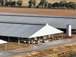 Drone Flyover - AFMH Coomboona (milking) - Located 30km northwest of Shepparton, Coomboona Farms is AFMH’s first Victorian dairy property. Coomboona was formerly owned by billionaire Gerry Harvey, before being bought by AFMH, which is a partnership between the Moxey and Perick families.
The property has the capacity to milk over 2500 cows, and produce 30 million litres of milk annually. Cows are housed in freestall barns and milked in a commercial rotary dairy. The dairy is split between two locations, with one acting as a breeding, maternity and nursing facility and the other housing milking cows. - Captured at AFMH Coomboona Farms - Module 1 (milking), Coomboona VIC Australia.