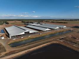Drone Flyover - AFMH Coomboona (milking) - Located 30km northwest of Shepparton, Coomboona Farms is AFMH’s first Victorian dairy property. Coomboona was formerly owned by billionaire Gerry Harvey, before being bought by AFMH, which is a partnership between the Moxey and Perick families.
The property has the capacity to milk over 2500 cows, and produce 30 million litres of milk annually. Cows are housed in freestall barns and milked in a commercial rotary dairy. The dairy is split between two locations, with one acting as a breeding, maternity and nursing facility and the other housing milking cows. - Captured at AFMH Coomboona Farms - Module 1 (milking), Coomboona VIC Australia.