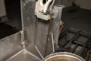 Saw inside slaughterhouse kill room - Captured at Edenhope Abattoir, Edenhope VIC Australia.