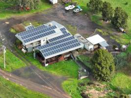 Drone flyover of slaughterhouse - Captured at Edenhope Abattoir, Edenhope VIC Australia.