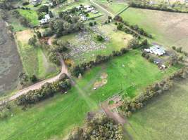 Drone flyover of slaughterhouse - Captured at Edenhope Abattoir, Edenhope VIC Australia.