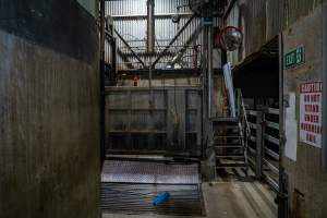 Cattle kill room - Photos taken of equipment and machinery inside the cow killing area at Cowra Meat Processors. - Captured at Cowra Meat Processors, Cowra NSW Australia.