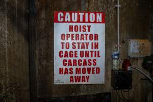 Cattle kill room - Photos taken of equipment and machinery inside the cow killing area at Cowra Meat Processors. - Captured at Cowra Meat Processors, Cowra NSW Australia.