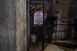 Cattle kill room - Photos taken of equipment and machinery inside the cow killing area at Cowra Meat Processors. - Captured at Cowra Meat Processors, Cowra NSW Australia.