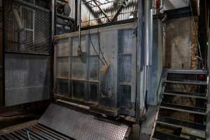 Cattle kill room - Photos taken of equipment and machinery inside the cow killing area at Cowra Meat Processors. - Captured at Cowra Meat Processors, Cowra NSW Australia.