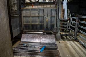 Cattle kill room - Photos taken of equipment and machinery inside the cow killing area at Cowra Meat Processors. - Captured at Cowra Meat Processors, Cowra NSW Australia.