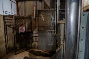 Cattle kill room - Photos taken of equipment and machinery inside the cow killing area at Cowra Meat Processors. - Captured at Cowra Meat Processors, Cowra NSW Australia.