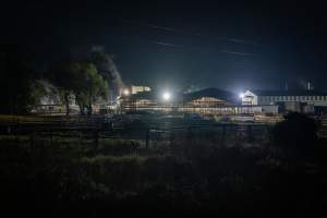 Slaughterhouse exterior - Exterior photo of Cowra Meat Processors showing holding pens - Captured at Cowra Meat Processors, Cowra NSW Australia.