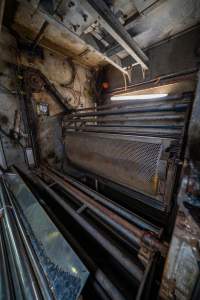 Pig gas chamber - Pigs and piglets are killed inside a carbon dioxide gas chamber. They are forced into metal gondolas which are lowered into a pit in the ground, filled with the gas which causes painful asphyxiation. - Captured at Cowra Meat Processors, Cowra NSW Australia.