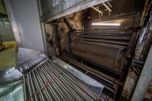 Pig gas chamber - Pigs and piglets are killed inside a carbon dioxide gas chamber. They are forced into metal gondolas which are lowered into a pit in the ground, filled with the gas which causes painful asphyxiation. - Captured at Cowra Meat Processors, Cowra NSW Australia.