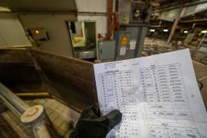 Kill schedule - A photo of a daily kill schedule at Cowra Meat Processors. - Captured at Cowra Meat Processors, Cowra NSW Australia.