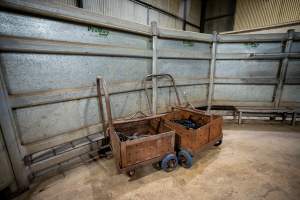 Carts of shackles near cow race - Carts of shackles near cow race at Cowra Meat processors - Captured at Cowra Meat Processors, Cowra NSW Australia.