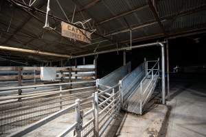 Cow ramp and holding pens - Photo of empty holding pens and ramp where cows are unloaded at Cowra Meat processors - Captured at Cowra Meat Processors, Cowra NSW Australia.