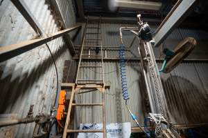 Ladder in cow kill room - Photo of ladder in cow kill room at Cowra Meat Processors - Captured at Cowra Meat Processors, Cowra NSW Australia.