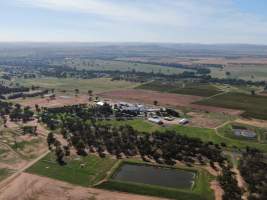 Drone flyover of slaughterhouse - Captured at Cowra Meat Processors, Cowra NSW Australia.