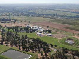 Drone flyover of slaughterhouse - Captured at Cowra Meat Processors, Cowra NSW Australia.