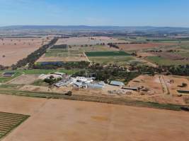 Drone flyover of slaughterhouse - Captured at Cowra Meat Processors, Cowra NSW Australia.