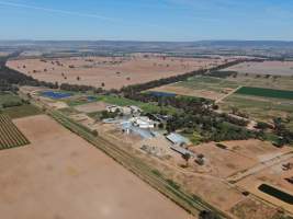 Drone flyover of slaughterhouse - Captured at Cowra Meat Processors, Cowra NSW Australia.
