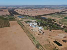 Drone flyover of slaughterhouse - Captured at Cowra Meat Processors, Cowra NSW Australia.