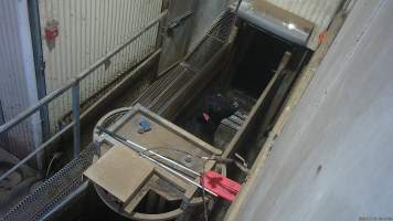 Cow looks up from race - Screenshot from hidden camera footage. - Captured at Cowra Meat Processors, Cowra NSW Australia.
