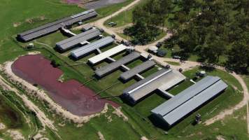Leyton Park Piggery - Aerial view of Leyton Park Piggery - Captured at Leyton Park Piggery, Wattle Camp QLD Australia.