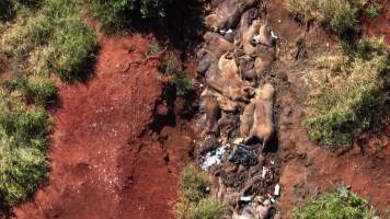 Piggery Dead Pit - Aerial view of Judy Amado Johnson Piggery dead pit - Captured at Judy Amado Johnson, Mount Binga QLD Australia.