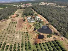 Judy Amado Johnson Piggery - Aerial view of Judy Amado Johnson Piggery - Captured at Judy Amado Johnson, Mount Binga QLD Australia.