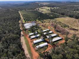 Judy Amado Johnson Piggery - Aerial view of Judy Amado Johnson Piggery - Captured at Judy Amado Johnson, Mount Binga QLD Australia.