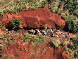 Piggery Dead Pit - Aerial view of Judy Amado Johnson Piggery dead pit - Captured at Judy Amado Johnson, Mount Binga QLD Australia.