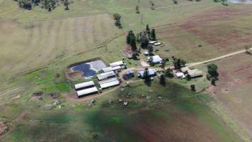 Rosenberger Piggery - Aerial view of Rosenberger Piggery. - Captured at Colin Rosenberger, Inverlaw QLD Australia.