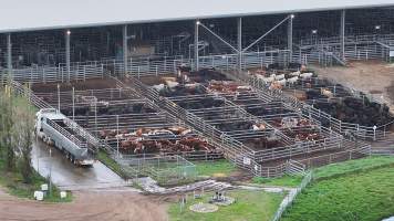 Southern Regional Livestock Exchange - SRLX NSW - Recon Drone - Captured at Southern Regional Livestock Exchange, Moss Vale NSW Australia.