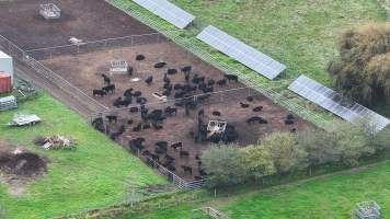 Southern Regional Livestock Exchange - SRLX NSW - Recon Drone - Captured at Southern Regional Livestock Exchange, Moss Vale NSW Australia.