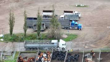 Southern Regional Livestock Exchange - SRLX NSW - Recon Drone - Captured at Southern Regional Livestock Exchange, Moss Vale NSW Australia.