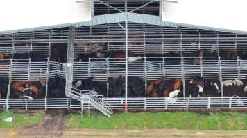 Southern Regional Livestock Exchange - SRLX NSW - Recon Drone - Captured at Southern Regional Livestock Exchange, Moss Vale NSW Australia.