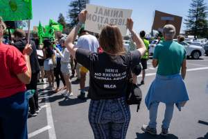 Animal Liberation March 2025 - The Animal Liberation March organised by DxE in May 2025. Hundreds of activists marched through the streets of Petaluma, Santa Rosa demanding liberation for all and an end to animal exploitation. - Captured at CA.