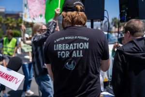 Animal Liberation March 2025 - The Animal Liberation March organised by DxE in May 2025. Hundreds of activists marched through the streets of Petaluma, Santa Rosa demanding liberation for all and an end to animal exploitation. - Captured at CA.