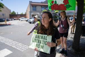 Animal Liberation March 2025 - The Animal Liberation March organised by DxE in May 2025. Hundreds of activists marched through the streets of Petaluma, Santa Rosa demanding liberation for all and an end to animal exploitation. - Captured at CA.