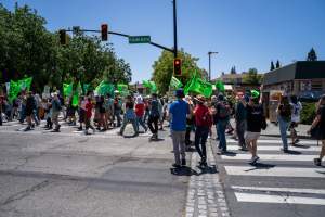Animal Liberation March 2025 - The Animal Liberation March organised by DxE in May 2025. Hundreds of activists marched through the streets of Petaluma, Santa Rosa demanding liberation for all and an end to animal exploitation. - Captured at CA.