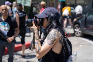 Animal Liberation March 2025 - The Animal Liberation March organised by DxE in May 2025. Hundreds of activists marched through the streets of Petaluma, Santa Rosa demanding liberation for all and an end to animal exploitation. - Captured at CA.