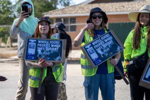 Action - Vera Goat Dairy (Meyenberg Goat Milk) - On May 27th, 2025 Five activists were just arrested after rescuing two sick baby goats from a Whole Foods-supplying factory goat dairy in the Central Valley, California that supplies the nation's largest goat dairy brand, Meyenberg. The rescued babies are on their way to get care.
After the rescue, these activists returned to the facility to urge the authorities to investigate the facility's massive dead pile and other violations. An investigation released by DxE prior to the action showed dozens of mothers and babies are regularly dumped into an illegal mass dead pile. A mother goat and two babies were previously rescued from the facility. - Captured at CA.