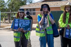 Action - Vera Goat Dairy (Meyenberg Goat Milk) - On May 27th, 2025 Five activists were just arrested after rescuing two sick baby goats from a Whole Foods-supplying factory goat dairy in the Central Valley, California that supplies the nation's largest goat dairy brand, Meyenberg. The rescued babies are on their way to get care.
After the rescue, these activists returned to the facility to urge the authorities to investigate the facility's massive dead pile and other violations. An investigation released by DxE prior to the action showed dozens of mothers and babies are regularly dumped into an illegal mass dead pile. A mother goat and two babies were previously rescued from the facility. - Captured at CA.