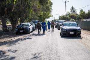 Action - Vera Goat Dairy (Meyenberg Goat Milk) - On May 27th, 2025 Five activists were just arrested after rescuing two sick baby goats from a Whole Foods-supplying factory goat dairy in the Central Valley, California that supplies the nation's largest goat dairy brand, Meyenberg. The rescued babies are on their way to get care.
After the rescue, these activists returned to the facility to urge the authorities to investigate the facility's massive dead pile and other violations. An investigation released by DxE prior to the action showed dozens of mothers and babies are regularly dumped into an illegal mass dead pile. A mother goat and two babies were previously rescued from the facility. - Captured at CA.