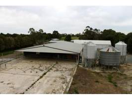 Captured at Unknown Facility, Rochester VIC Australia.