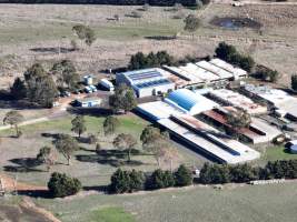 Drone Flyover June 2025 - Captured at Josh's Rainbow Eggs, Monegeetta VIC Australia.