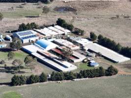 Drone Flyover June 2025 - Captured at Josh's Rainbow Eggs, Monegeetta VIC Australia.