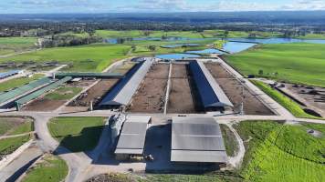 default - Captured at Leppington Pastoral Company, Greendale NSW Australia.