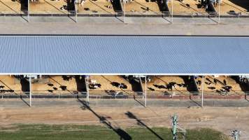 default - Captured at Leppington Pastoral Company, Greendale NSW Australia.