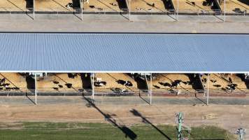 default - Captured at Leppington Pastoral Company, Greendale NSW Australia.